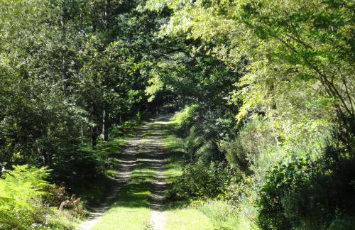 El Mirador de Casa Guareña - Photo 20