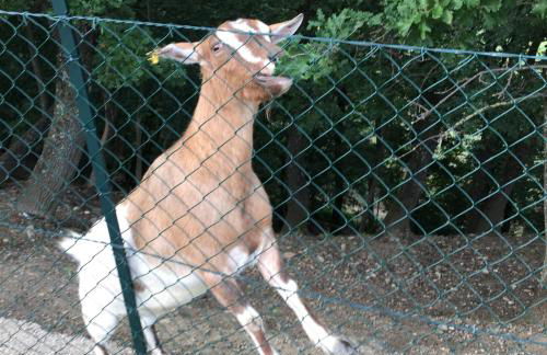 Podere Casanova - Foto 40