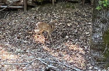 AGROTOPIA Guesthouses - Foto 29