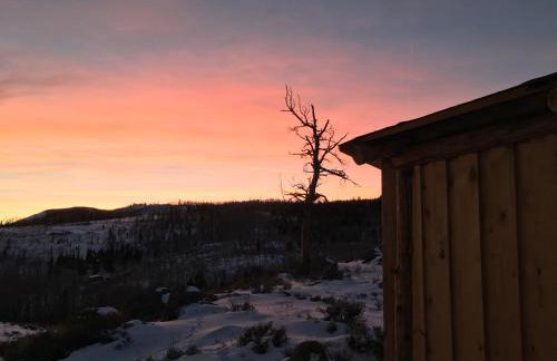 Red-tail Roundhouse at 22 West Cabins and Recreation - Foto 65
