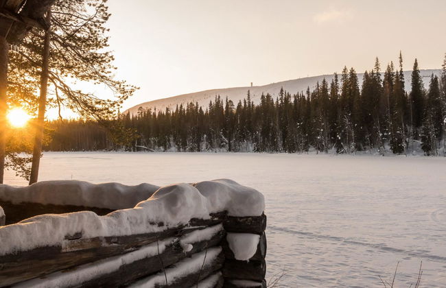 Metsä-luosto - Foto 43