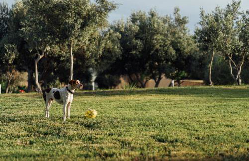 Blue Waves Luxury Suites by the Sea - Foto 60
