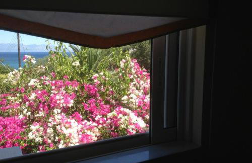 Villa Sofia - Foto 77