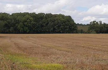 Willow Cottage 3 bed, cosy stopover, dogs welcome - Foto 18