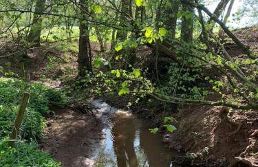The Potting Shed - Photo 57