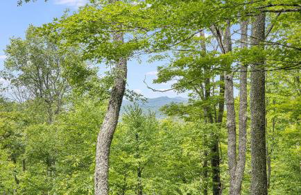 Deck w/ Forest Views, Ping Pong Blue Ridge Mtn Escape Ash Vale by Avantstay - Foto 71