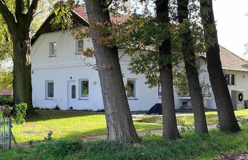 sanierte ruhige Wohnung in der Natur mit Küche - Foto 7