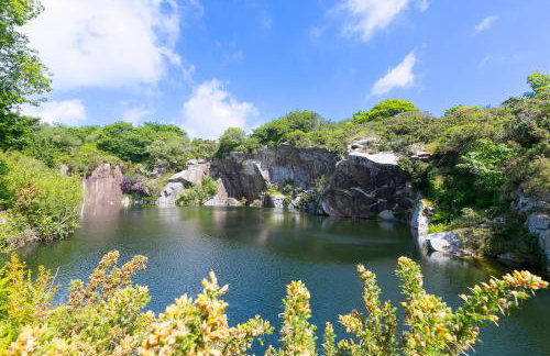 Costentyn, Tor Down Quarry - Foto 36