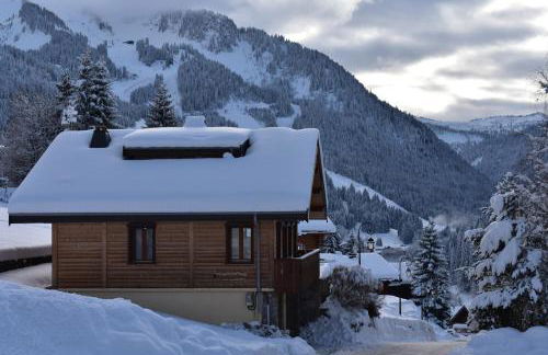 Chalet le Petit Ramoneur - Foto 1