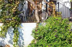 Casa de Andres - Foto 23