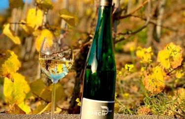 Winelicious - Arrive & Enjoy - Foto 11