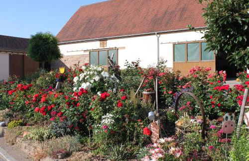 Fewo Feldblick - Foto 2