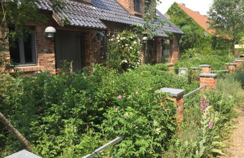 Große Wohnung / Haushälfte in Peetzig am See - Foto 2