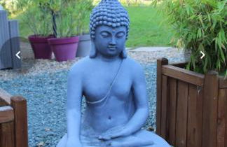 Studio & Gîte Zen de Beauval- 800 m du Zooparc - Photo 31