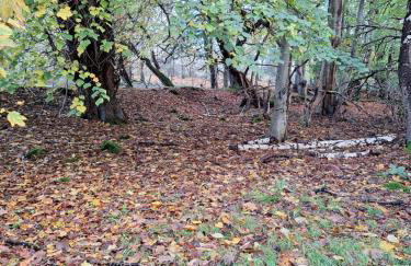 Ryan's Cottage - Photo 63