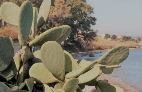 Sfondo Blu Villa sul mare - Foto 8