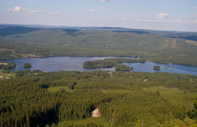 Ski, Sauna, and Scandinavian Serenity Chalet - Foto 38