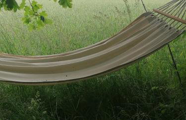 Wyciszek - mazurska agroturystyka - Foto 6