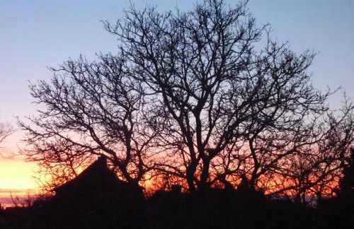 Ferienwohnung Radszys - Foto 30