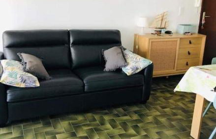 Appart T2 vue imprenable sur le canal et la mer - Foto 19