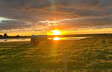 Ferienwohnung-in-Strandnaehe-Schwalbennest-1 - Foto 4
