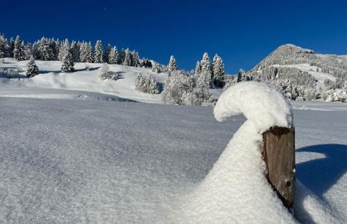 Ferienwohnungen Brugger - Photo 30
