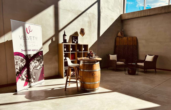 Dominio Lubiano Winery Tour - Photo 7