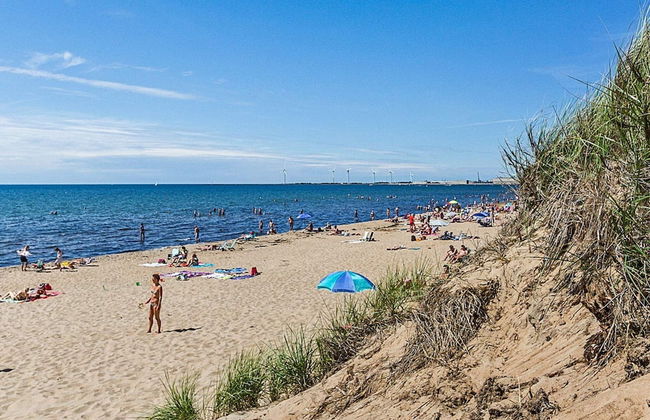 3 Person Holiday Home in Falkenberg-by Traum - Photo 30