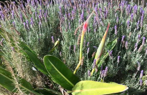 Cosy, seaview apartment, close to beach and bars -Edificio RHIN - Foto 34