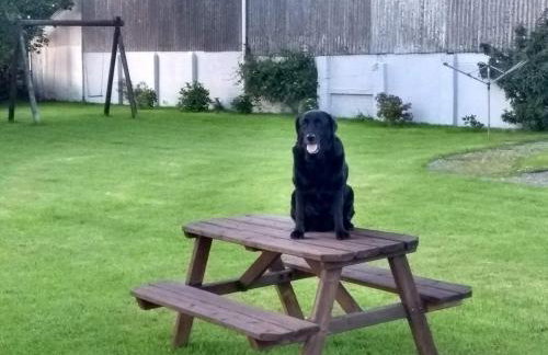 Fentrigan Manor Farm & Holiday Cottages - Foto 71