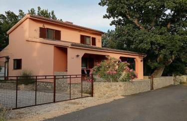 Studio apartman Hrast - Foto 5