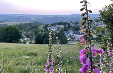 Ferienhaus Holiday Heaven - Foto 21