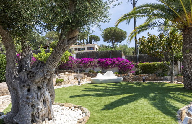 Mas Companys - Foto 22