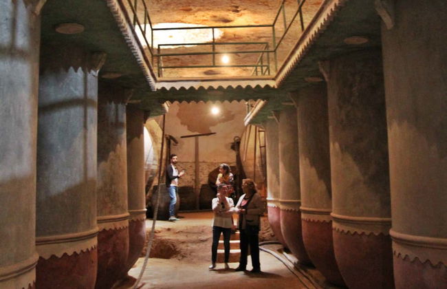 Tour del vino por Tomelloso - Foto 3