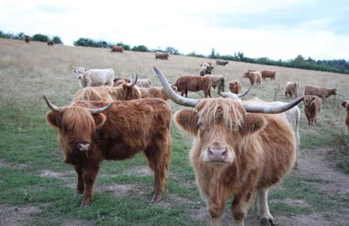 Alter Gutshof Papstdorf - Foto 21
