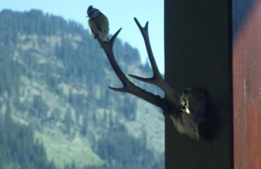 Le Ciel Bleu - Foto 14