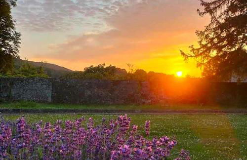 L'Orangerie Normandie - Foto 2