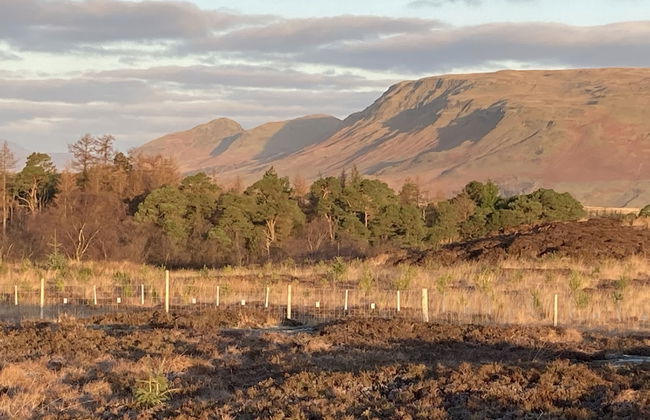 Luxury and Peaceful 1-bed Roundhouse With Hot Tub - Foto 19