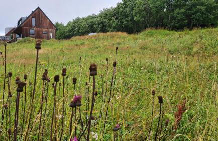 Czereśniowy Dom - Foto 50