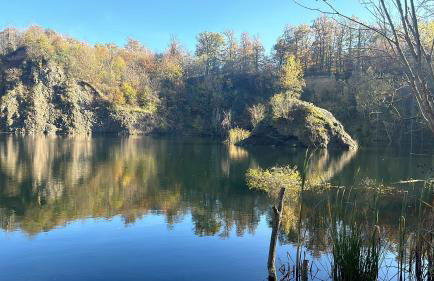 Apartment am Rhein - Foto 8