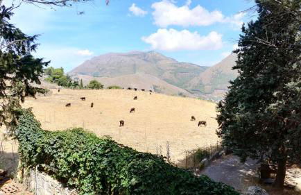 Villa Calici - Foto 22