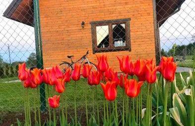 Zakątek na Mazurach I Kalinowo, Romoty - Foto 34