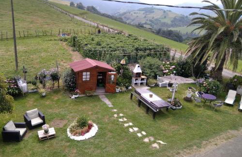 Agroturismo Pagoederraga - Foto 20