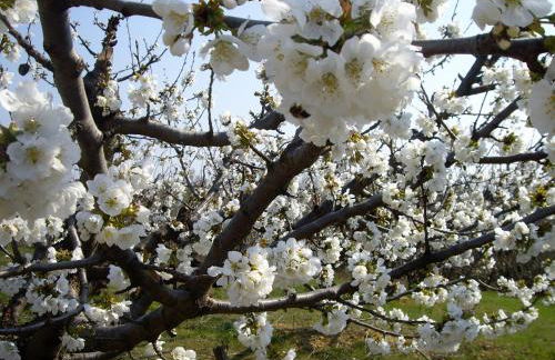 Le Mas du Ruisseau - Foto 44