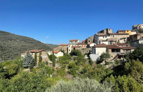 Apartment Asplanato - DOL161 by Interhome - Foto 21