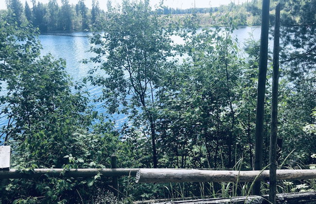 Apple Tree Cabin With River Views - Foto 19