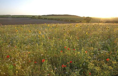 The Sidings - Foto 37