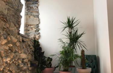 Studio Rural - Foto 17