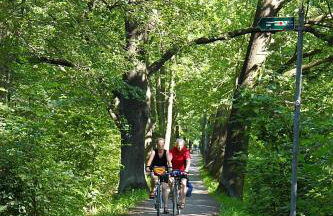 Spree Chalet - adults only - Foto 50