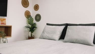 The Green House - Photo 4